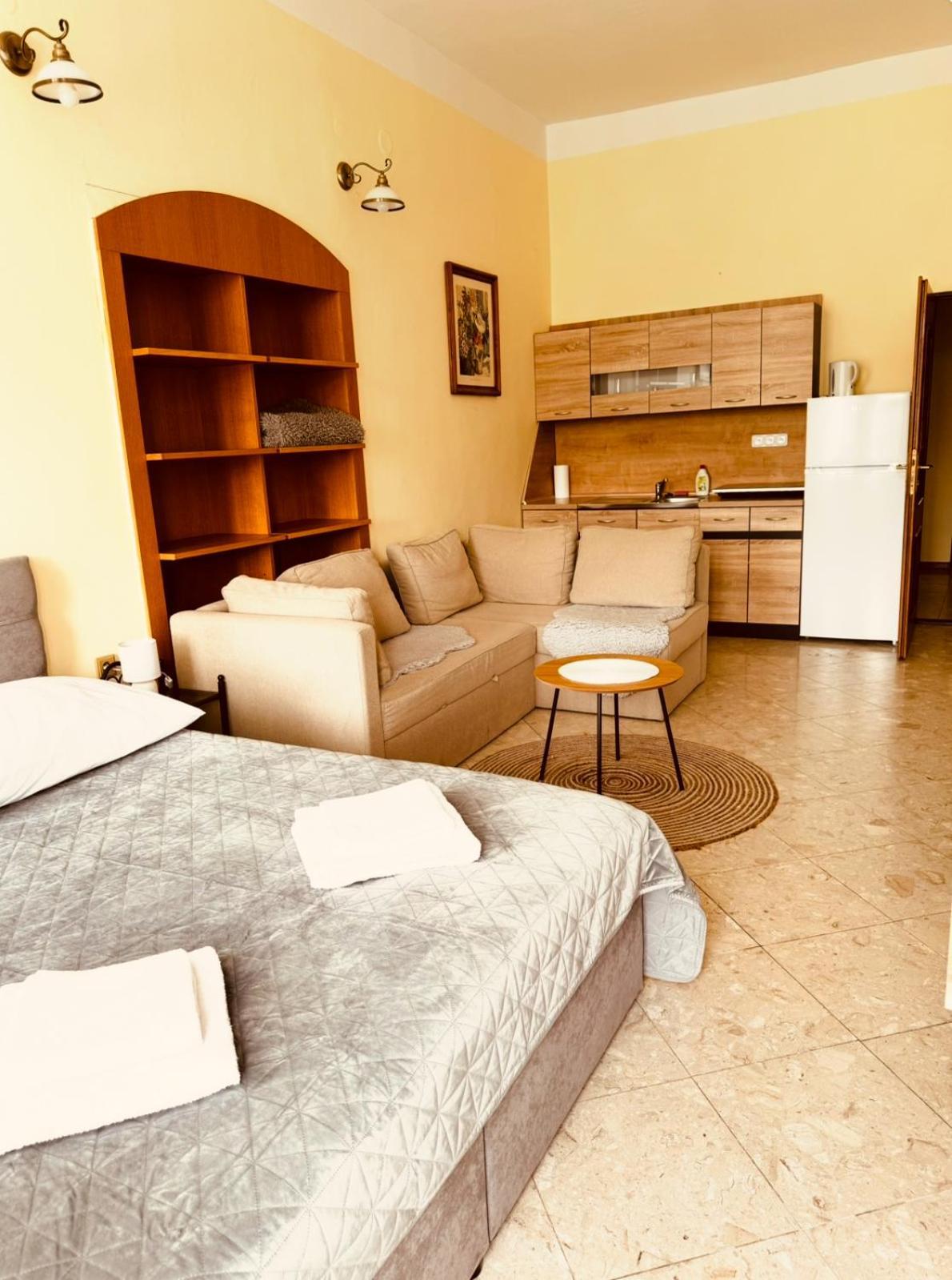 Studia Maxim Apartman Frýdek-Místek Kültér fotó