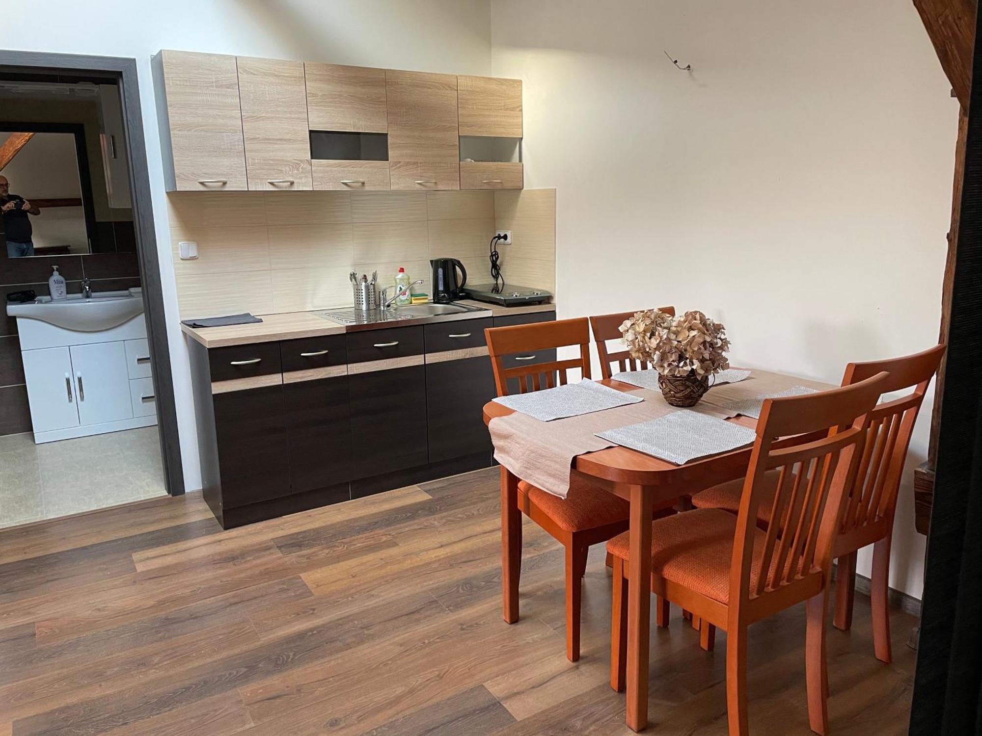 Studia Maxim Apartman Frýdek-Místek Kültér fotó